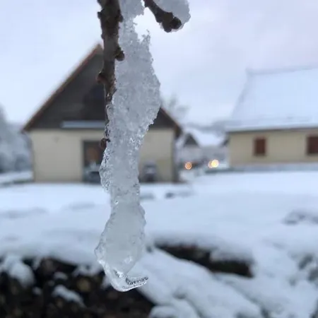 Dom wakacyjny Bleu Nr 17 *