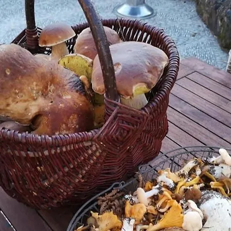 Bleu Nr 17 Dom wakacyjny Lacapelle-Marival