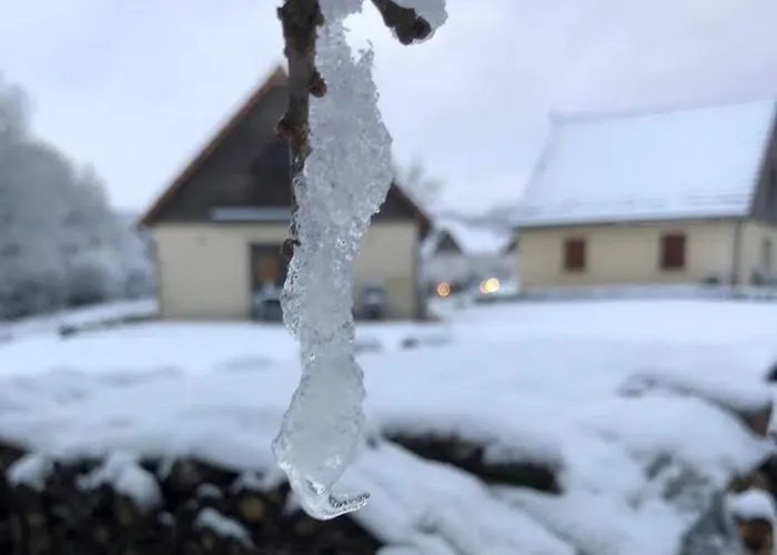 Prázdninový dům Bleu Nr 17 *