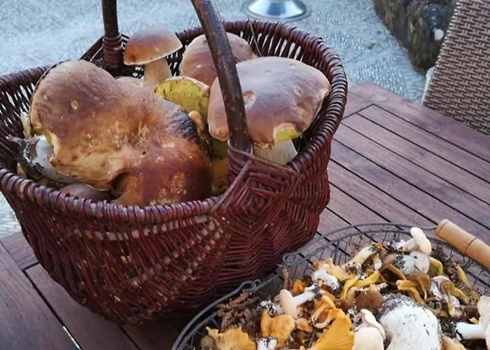 Bleu Nr 17 Prázdninový dům Lacapelle-Marival